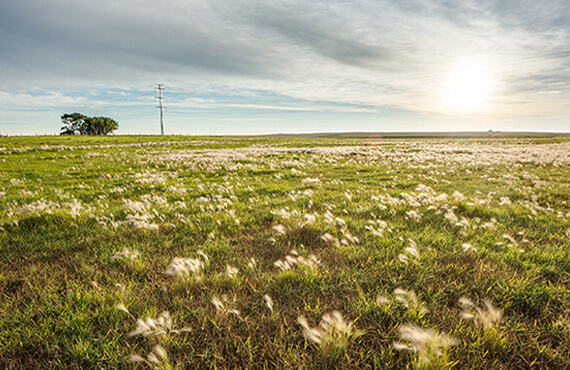 Sun setting over a farm field