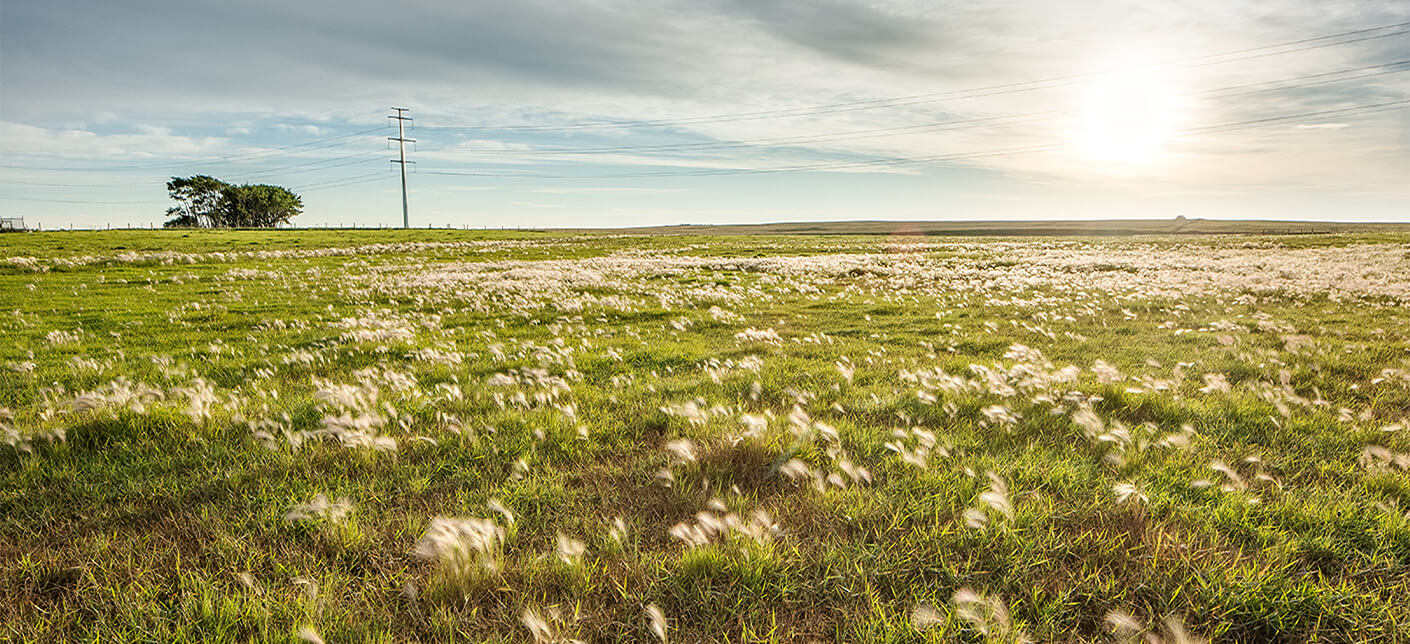 Sun setting over a farm field