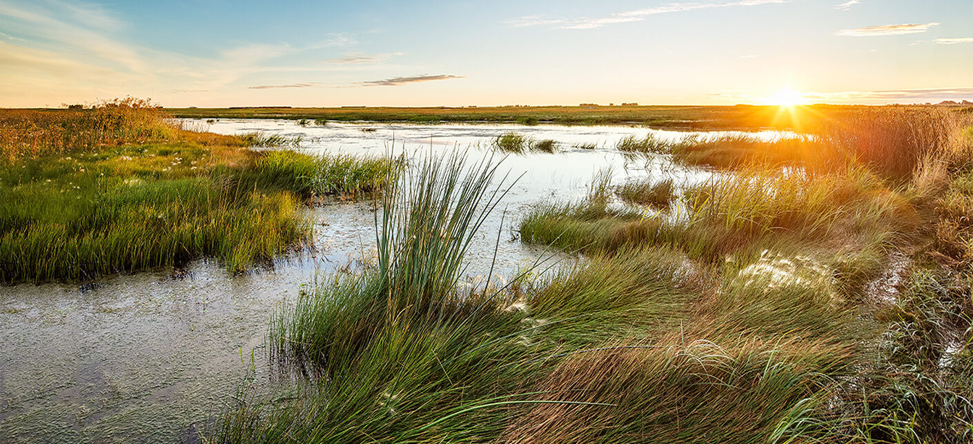 Beautiful sunset over a wetland area